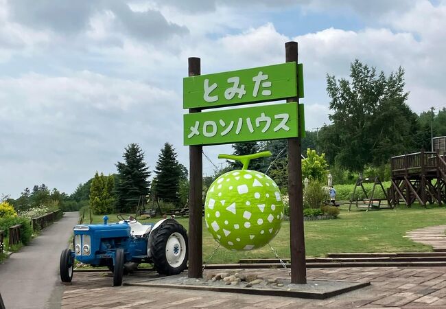 地元民おすすめメロンのお店