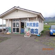 地元漁協の直販店