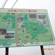 高山植物展示園や利尻富士温泉は公園内にありました