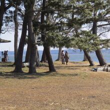 親沢公園キャンプ場の風景