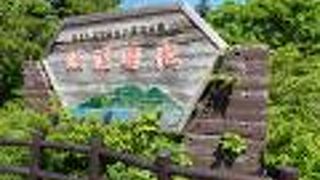 少し揺らいでましたが、逆さ利尻富士が見えました