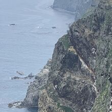 千鳥ヶ浦海岸