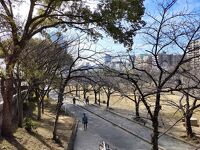 淀川河川公園 毛馬地区