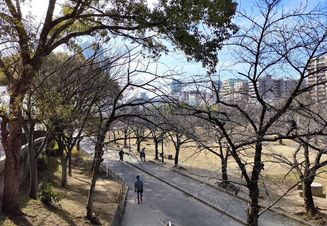 淀川河川公園 毛馬地区