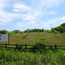 伊良湖東大寺瓦窯跡