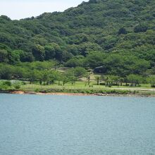 初立池公園