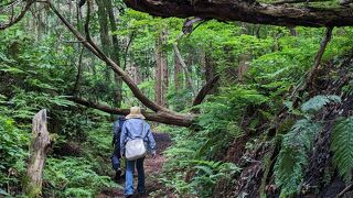 神秘の山寺奥之院