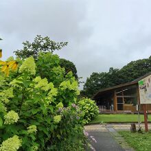 中之条山の上庭園