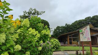 入場無料で素晴らしい庭園を満喫