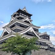 復旧工事中の熊本城