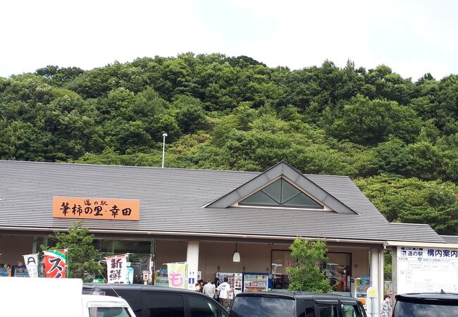 道の駅 筆柿の里 幸田