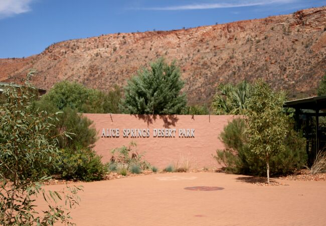 アリススプリングス デザートパーク