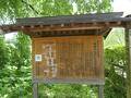 角館の枝垂桜