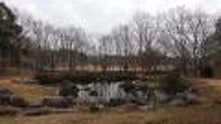 シメが見られました。