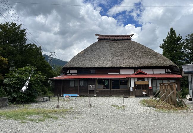 冷やしきゅうりは必食