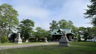 ようやく参拝できました