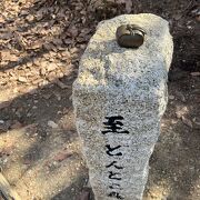 無料エリアを楽しむ