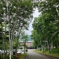 森の中のホテル