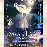 ウクライナ・グランド・バレエダンサーが初来日!! SWAN LAKE ON WATER ～ついに、ほんとうの水を得た『白鳥の湖』★国際フォーラムで待望の日本初公演ヽ(･∀･)ﾉ