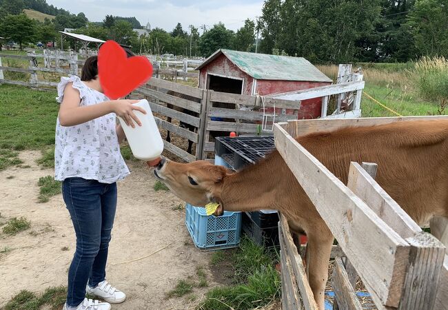 動物といっぱい触れ合えます！