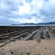 理屈はわかっていても壮観です