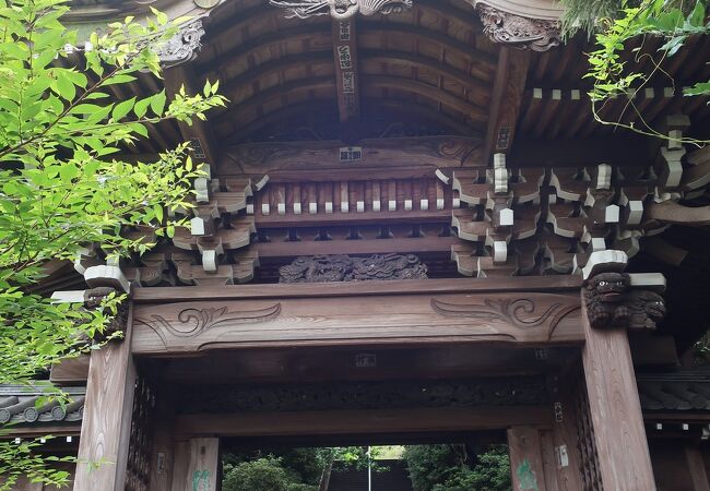 令和6年秋巡業 大相撲常滑場所 - TabiChita(タビチタ)｜愛知県