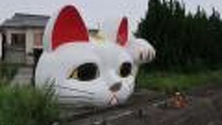 巨大な招き猫（の顔）