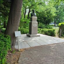 ビーアンビシャス！