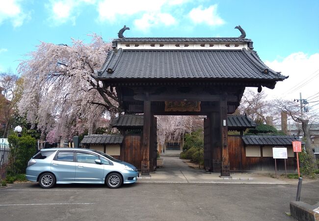 泰心院山門(旧仙台藩藩校養賢堂正門) クチコミ・アクセス 泰心院山門(旧仙台藩藩校養賢堂正門) クチコミ・アクセス