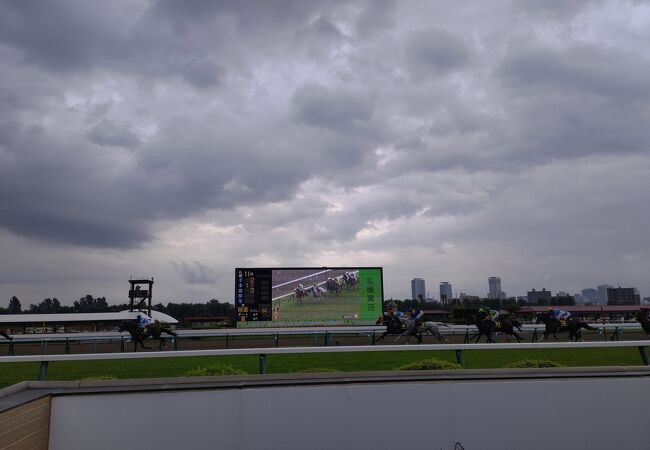 2001年に札幌競馬場の来場プレゼント 札幌競馬場】8月10日（日）＜UHB賞 11R 他11レース＞ 来賓席ご