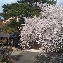 東秀院