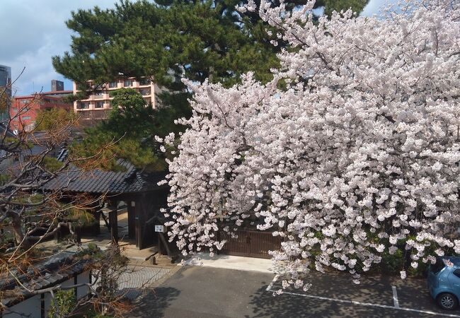 東秀院