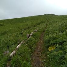 桃岩展望台コース登山口