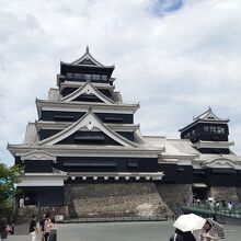 入場して正面側から見た熊本城