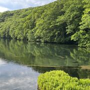 蔦沼の水が綺麗、入口から10分