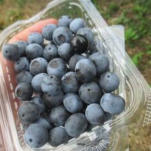 エザワフルーツランド