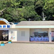 アットホームな水族館