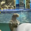 魚は少ないが、施設は広い水族館