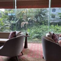 森林が見えて癒されます。