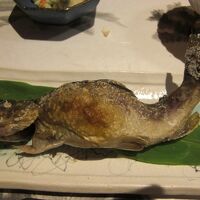 ヤマメの塩焼き