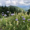 西篭ノ登山