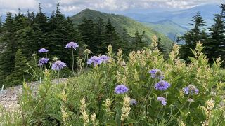 東篭ノ登山のお隣の山