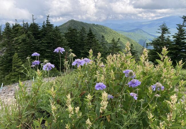 西篭ノ登山