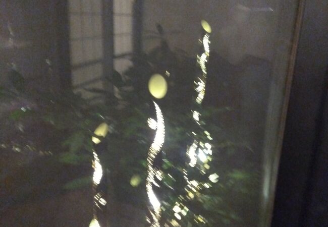 月が綺麗ですね