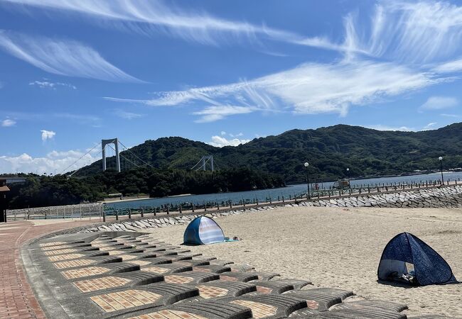 今年はクラゲがたくさん、綺麗なビーチ