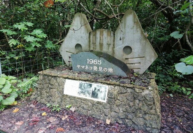 イリオモテヤマネコ初捕獲の地