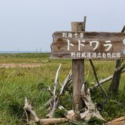 トドワラはもはや消滅した