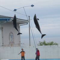 のとじま水族館