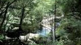 暑い夏にぴったり！