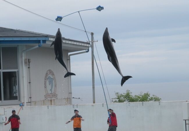 のとじま水族館